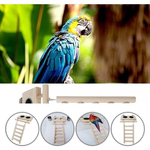 Reusable Ornamental Pet Bird Playground Feeder Wooden Bird Perch Stand Compact Pet Supplies
