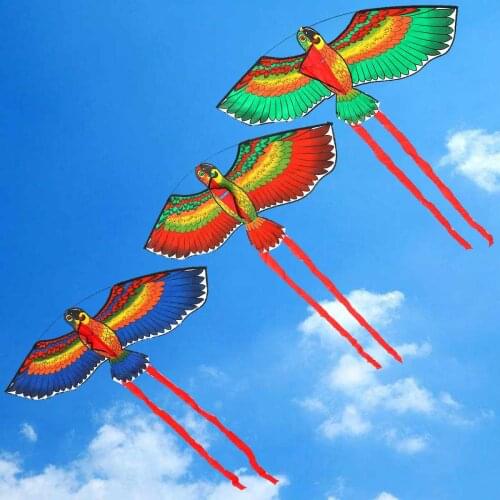 LBLA Kites
