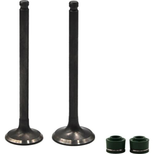 Motorcycle Intake & Exhaust Valve Kit Stem For HONDA VT250F VT250Z VT250 SPADA Xelvis250 25V VTR250 Gift Valve Oil Seal