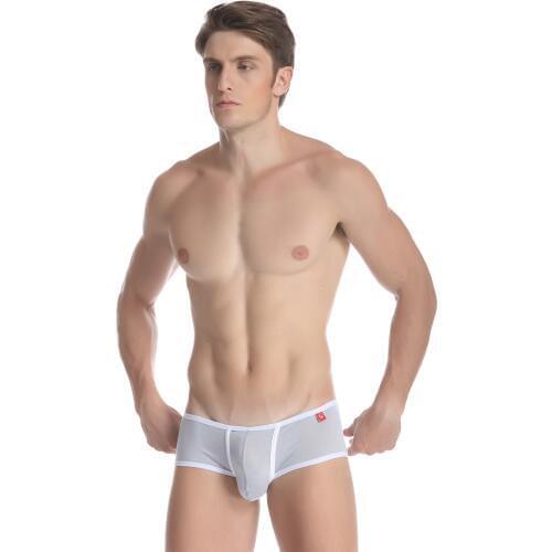 Underwear Briefs New Design Stripe Soft Design Gay Sleepwear Man Pants Sexy Homosexual Love Short