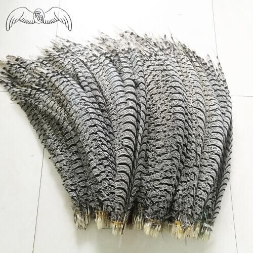 Wholesale 50pcs Natural 80-100cm Lady Amherst Pheasant Tail Feather Zebra Phesant Feather For Carnival/Shamba Decoration