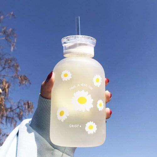 Milk Juice Cute Water Bottle 480ml Little daisy Matte Portable Water Cup Grass Bottles Creative Handy Cup with Scale 2 Lids