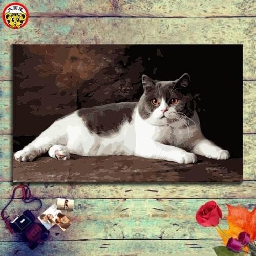 Painting by numbers art paint by number Big black cat