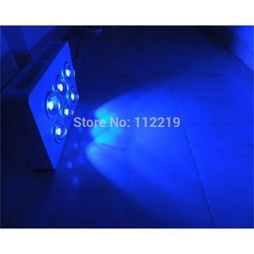 Blue Spectrum 600W LED Grow Lights cob led chip LED Plant Lamp For Greenhouse Hydroponics Vegetables Growth Flowering