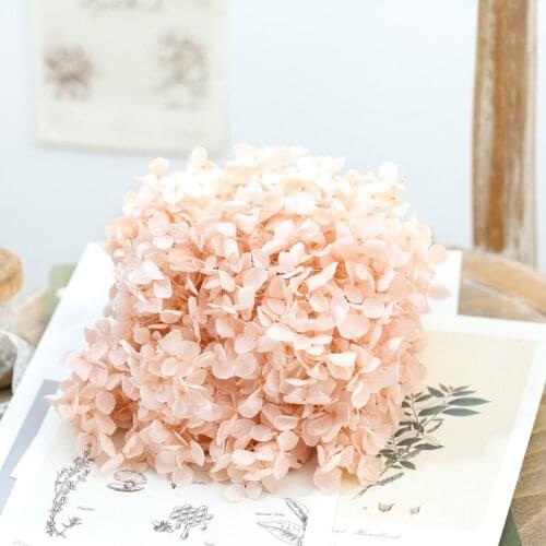 Dried flower Light pink 20G DIY material Grade A Anna Folium Hydrangea polychrome wedding decoration table