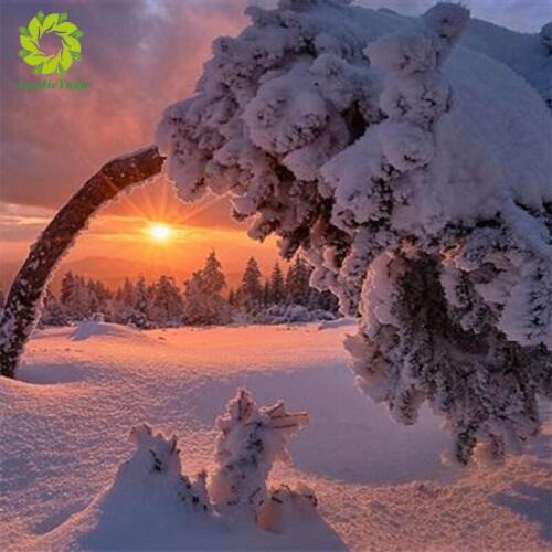 FULL Mosaic Pattern 5D DIY Diamond art Embroidery snow tree home decoration Flower diamond painting cross stitch gift