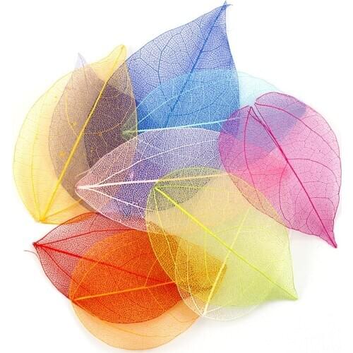 40Pcs Natural Skeleton Leaf Leaves Card Scrapbook Bookmarks Festive Party Supplies Wedding Home DIY Decor