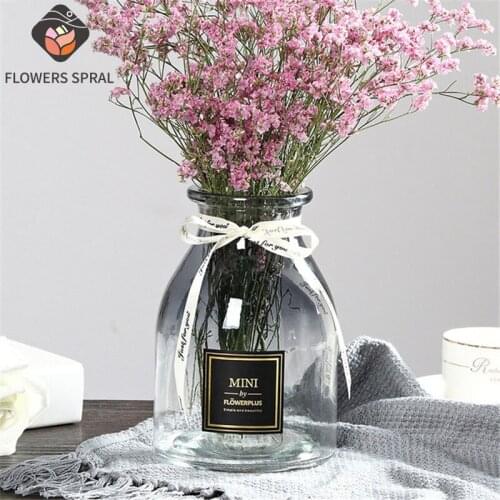 Simple Home Decoration Glass Vase Transparent Color Hydroponic Plants Gradient Glass Vase Room Flower Arrangement Decoration