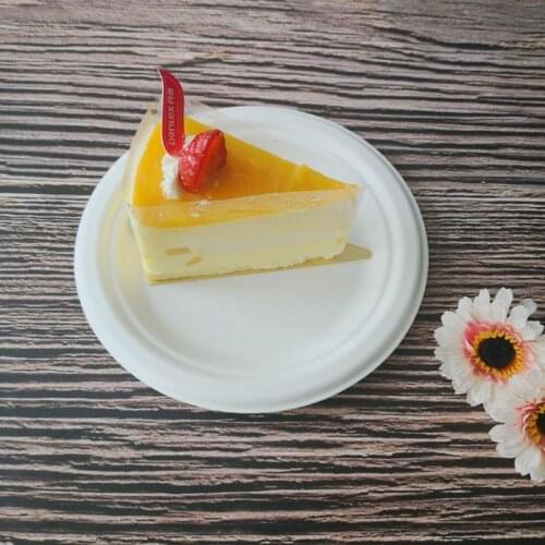 50Pcs/bag 6"/7"/9"/10" Round Compostable Plates Biodegradable Bagasse Disposable Plate for Party Restaurants