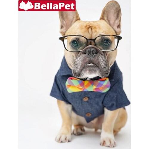 Designer Dog Clothes for Small Dogs Clothes Summer Cute Pet Shirt for Dog Accessories Pet Supplies Pug French Bulldog Clothes