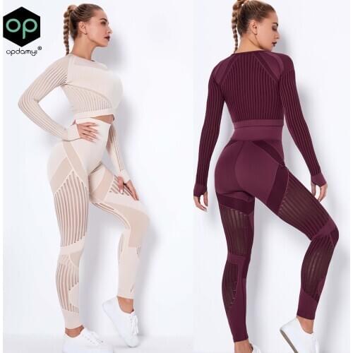 2 Piece Set Women Ribbed Seamless Long Sleeve Yoga Sets Workout Clothes for Women High Waist Sports Legging Long Sleeve Top Gym