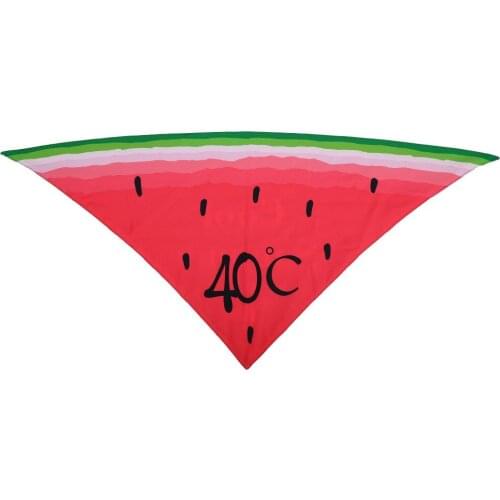 Summer Wind Dog Triangle Scarf Dog Paw Watermelon Pet Saliva Towel Double-sided Dog Scarf Pet Supplies Cat Neck Circumference