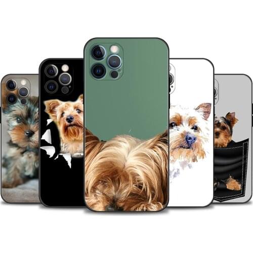 Yorkshire Terrier Cute Soft Cover For iPhone 11 12 Pro X XR XS Max Case Fundas For iPhone 7 8 Plus SE 2020 Coque Silicon TPU