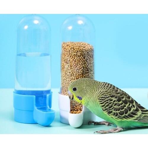 Bird Waterer Feeders Water Food Dispenser for Parrot Budgies Finch Cockatiels Conure Lovebirds Finch 2 Colors