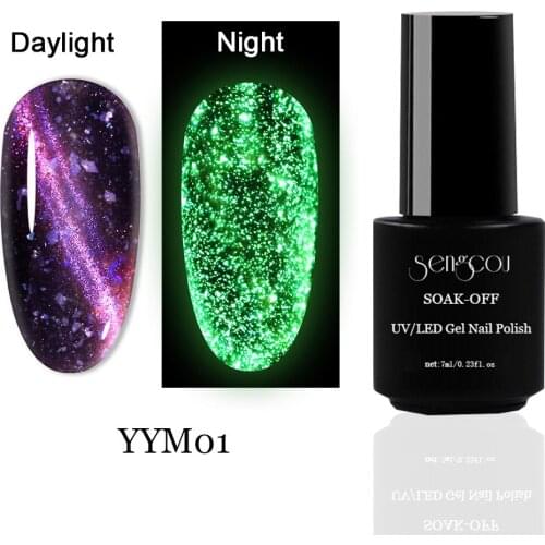 New Gel Nail Polish Galaxy Star Home Nail Art Cloud Brocade Magnet Cat Eye Nail Polish Set Glitter Nail Lacquer Varnishes