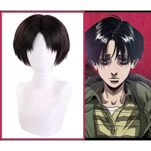 Anime comic Killing Stalking Yoon Bum Yoonbum Cosplay Wigs Levi AckermanCosplay Wig Heat Resistant Synthetic Hairs Black Adult