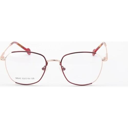 Women Retro Optical Eyeglasses Female Fashion Irregular Metal Myopia Frame M643