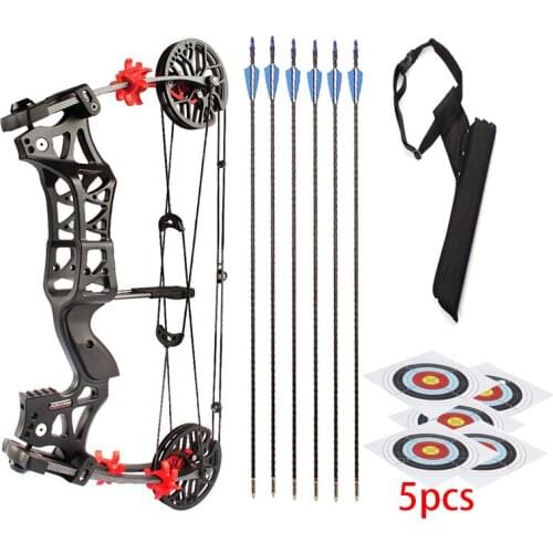 1 Set Of Entertainment Bow And Arrow Junxing M109e Falcon Steel Ball Bow And Arrow Dual Purpose Composite Pulley Bow And Arrow