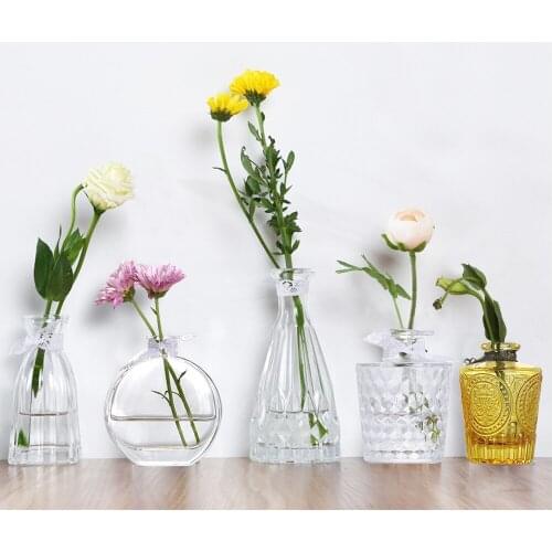 Embossed Transparent Clear Glass Vases For Plant Bottle Flower Pot Hydroponic Terrarium Arrangement Container Flower Table Vase
