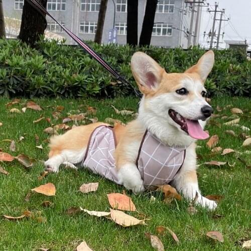 Hoopet Dog Corgi Dudou Encircle Waterproof Clothes Cat Cold Protect Belly Pet Belly Protection Summer Teddy T-Shirt
