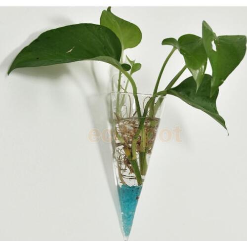 Clear Cone GLASS WALL HANGING FLOWER VASE Plant Bottle Home Decor Wall Mounted