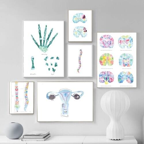 Decoration Spine Skeleton Canvas Prints And Posters Physiotherapist Wall Art for Painting Wall Pictures For Chiropractic Room
