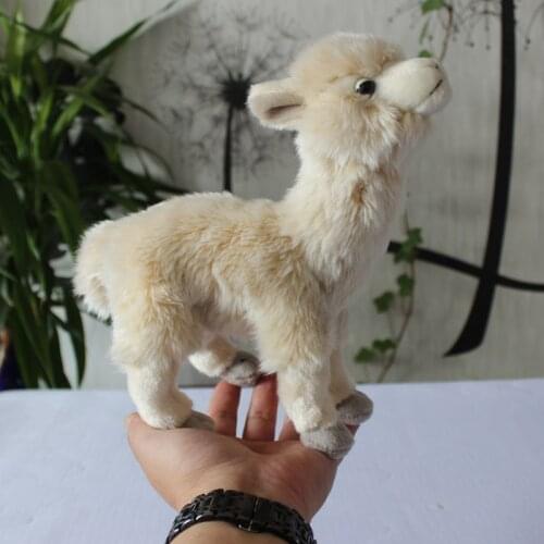 Figure Simulation models of irland door