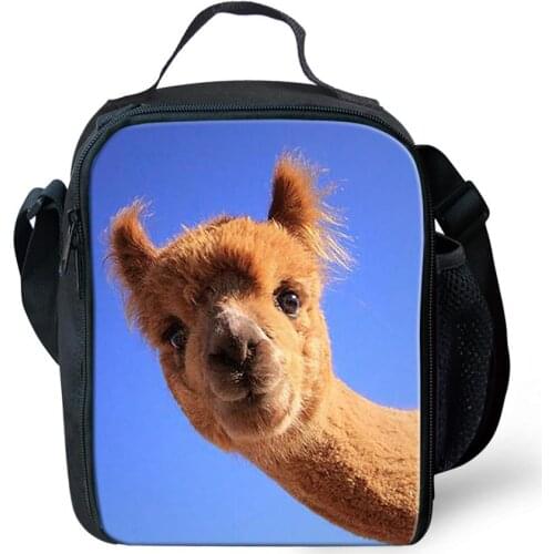 Cute Alpaca Pattern Lunch Bags for Girls Boys Fashion Portable Cooler Box Students Cartoon Pattern Tote Picnic Pouch