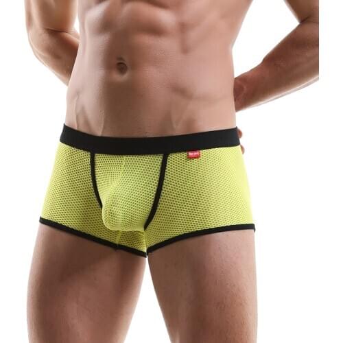 Mesh Mens Boxers Underwear Brand Gay Mens Panties Underwear Penis Pouch Men Underpants Sexy Lingerie Nylon Panties