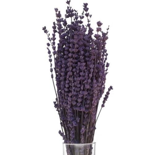 Izca Home Dried Quick-frozen Natural Fragrant Lavender decoration artificial flower искусственный цветок