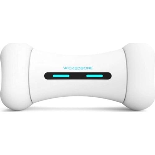 Best Christmas Gift For Your Lovely Pet Wickedbone Smart Dog Toy Chewing Bone