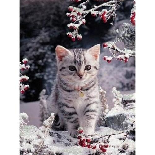 DIY Diamond Painting Kit Full Drill for Adult/Kid, Snow Kitten Diamond Embroidery Crystal Rhinestone for Home Wall Decor