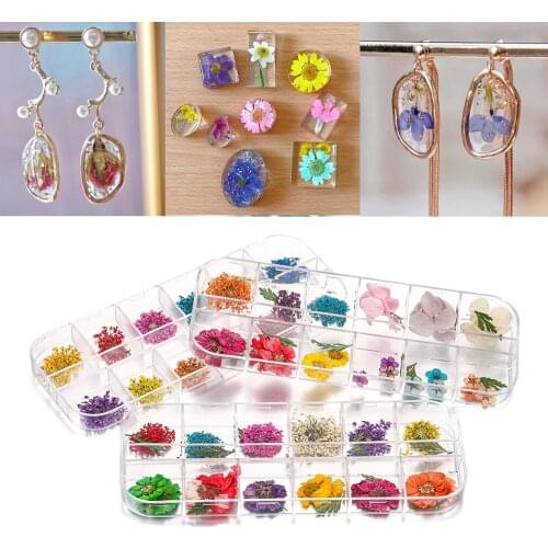 36pcs/pack 12 colors Immortal Flower Real Dried Flowers For DIY UV Silicone Epoxy Resin Mold Jewelry Making Nail Art Decoration