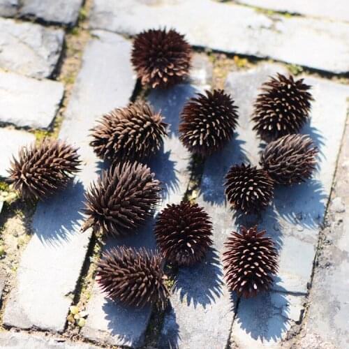 2-3cm/30pcs,Nature Dried Cedar nut,Handpicked Eternelle flower head real Pinecone for Wedding home Decoration,DIY arrange flower