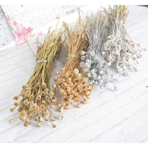 1 bundle 30g Preserved Dried Papaver Rhoeas Poppy Pods Flower For Craft Gift Material Accessory Decoration Flower Arranging DIY