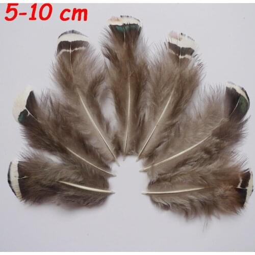 Wholesale 20 / 50 / 100Pcs 4-9 cm Natural Pheasant Feathers Chicken Plume For Crafts Christmas Wedding Hat Earring Decoration