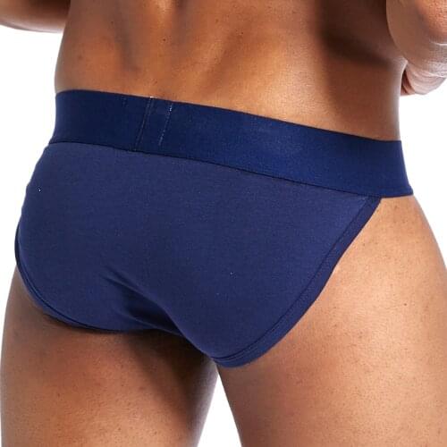 Men Underwear Cotton Briefs Breathable Mens Briefs Slip Cueca Male Panties U Convex Pouch Underpants 4 Colors Newest