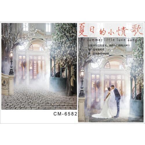 Mist World Background Photography Bright Windows Green Tree Photo Backdrops Brick Street fotografia Wedding Studio Background