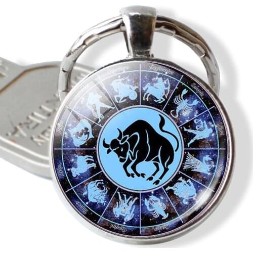 12 Zodiac Color Sign Metal Stainless Steel Key Ring Gifts For Kids