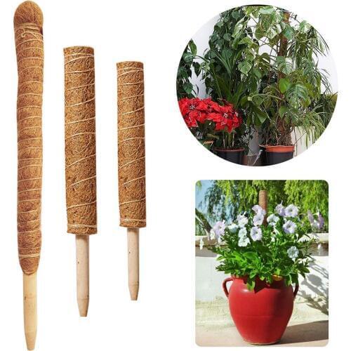 30/40/50cm Coir Moss Totem Pole Coconut Sticks Creeper Plant Support Climbing Extension Stick Support Plants To Grow Upwards-Use