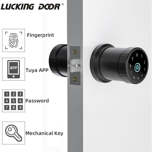 Bluetooth WIFI Remote Control Smart Lock Biometric Identification Control Fingerprint Door Lock Support Tuya App Password Key
