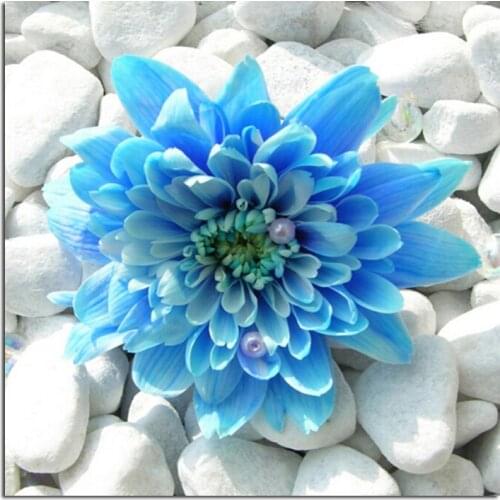 Stone Orchid 20x20cm New 100% Full Area Highlight Diamond Needlework Diy Diamond Painting Kit 3D Diamond Cross Stitch Embroidery