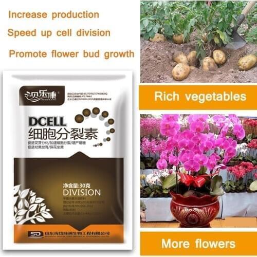 Cytokinin Plant Hormones Improve Vegetable Flower Fruit Better Product Grow Increase Production Fast Rooting Powder Rooting