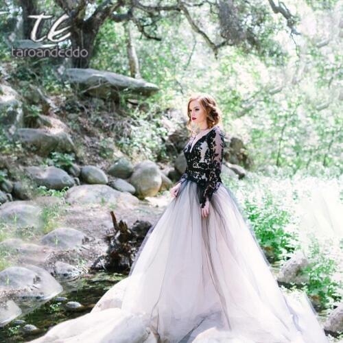 V Neck Backless Wedding Dresses Illusion Long Sleeve Lace Appliques Tulle A Line Bridal Gown Dress with Sashes