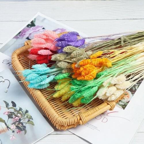 20Pcs Dried Natural Flower Bouquets Artificial Flower Colorful Lagurus Ovatus Bouquets Rabbit Tail Grass Bouquets Bunches