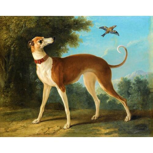 TOP Original art - animal GREYHOUND DOG bird art oil painting on canvas # TOP animal Decor accept custom painting