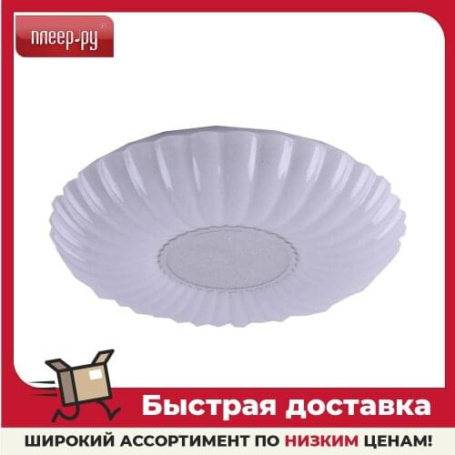 Camelion Reading Lamps