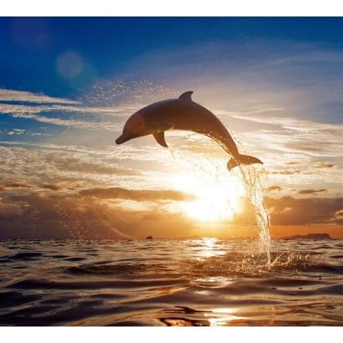 Autotest product: one price + package price