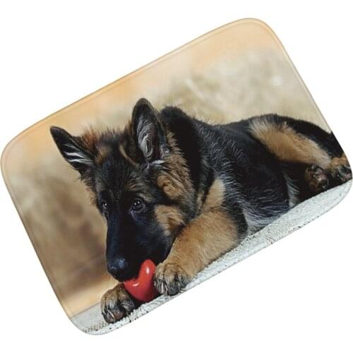 Drop Shipping Cartoon Dog Horse Print Hallway Entrance Doormat Non Slip Bathroom Carpet Home Decor Kitchen Floor Rug