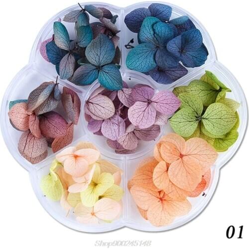 45-50pcs/box Dried Flowers DIY Epoxy Resin Handmade Crafts Filling Materials Jy15 20 Dropship